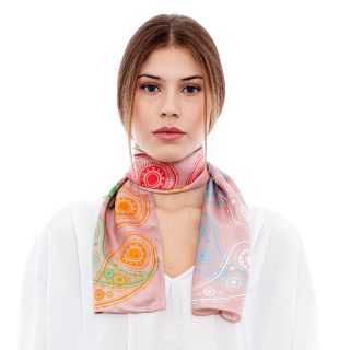 Paisley in Colors Muffler